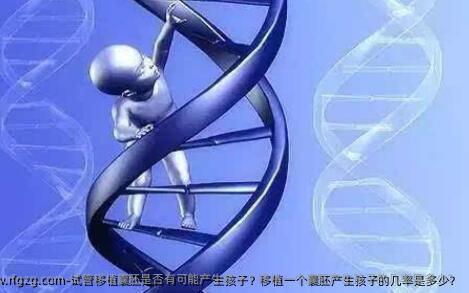 试管移植囊胚是否有可能产生孩子？移植一个囊胚产生孩子的几率是多少？