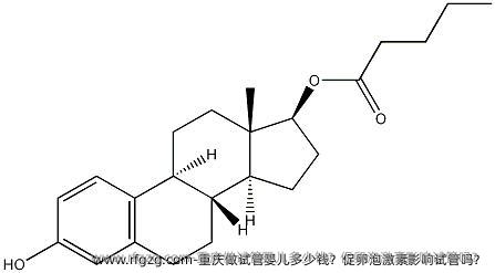 重庆做试管婴儿多少钱？促卵泡激素影响试管吗？