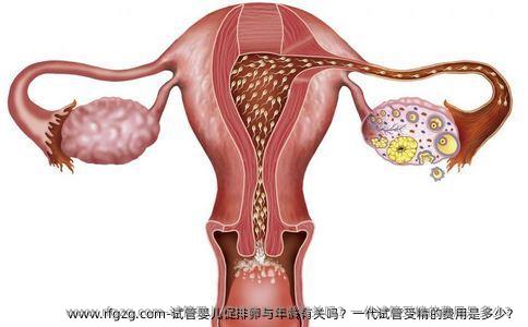 试管婴儿促排卵与年龄有关吗？一代试管受精的费用是多少？