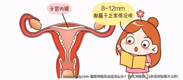 ‌囊胚移植后出血怎么办？16天关键期，3步应对秘籍大公开！