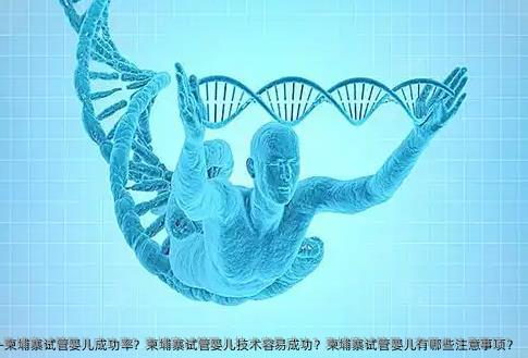 柬埔寨试管婴儿成功率？柬埔寨试管婴儿技术容易成功？柬埔寨试管婴儿有哪些注意事项？