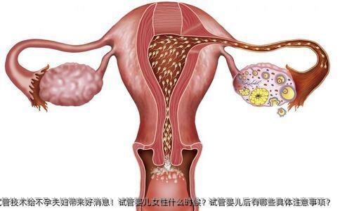 试管技术给不孕夫妇带来好消息！试管婴儿女性什么时候？试管婴儿后有哪些具体注意事项？