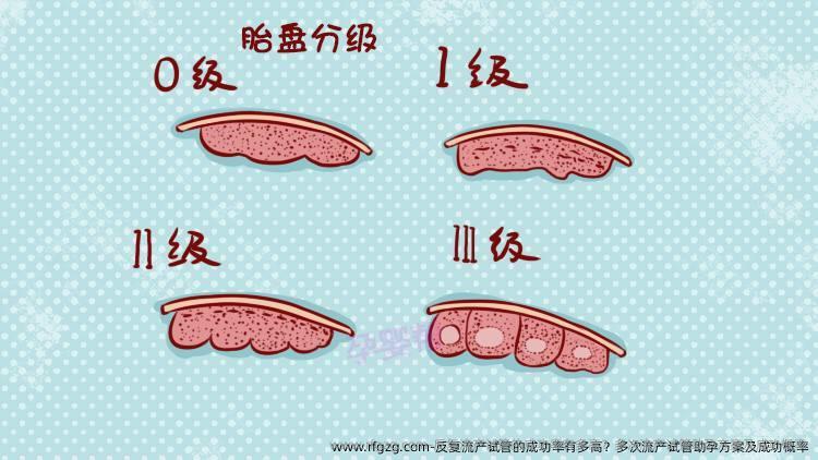 反复流产试管的成功率有多高？多次流产试管助孕方案及成功概率