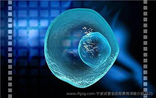 宁波试管全流程费用详细介绍2025