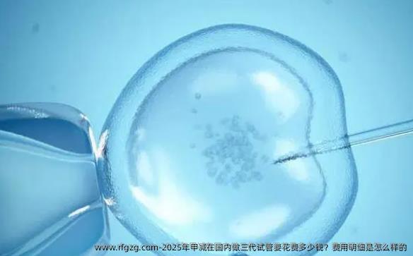 2025年甲减在国内做三代试管要花费多少钱？费用明细是怎么样的